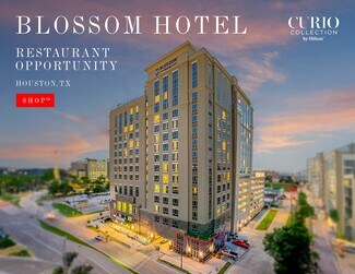 Houston, TX Retail - 7118 Bertner Ave