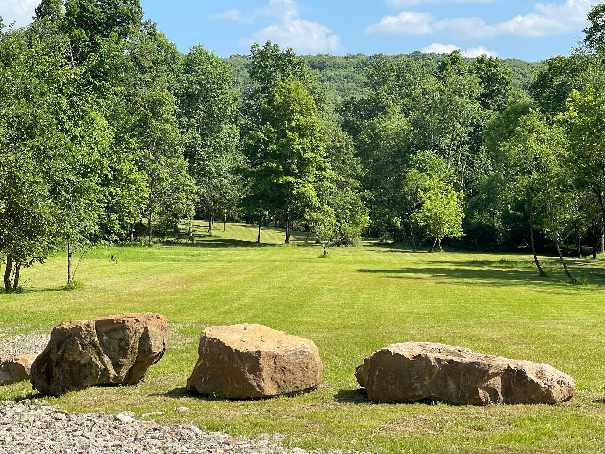 170 Renfrew Rd, Renfrew, PA for Sale