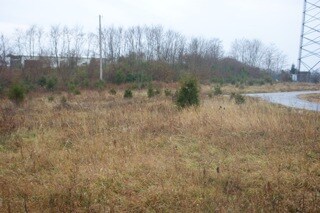 517 S Main St, Williamstown, KY for Sale