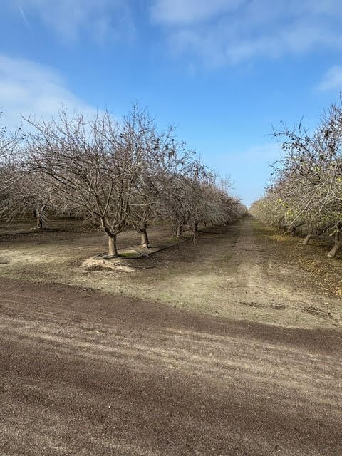 5100 S Pratt St, Tulare, CA for Sale