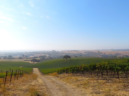 , Paso Robles, CA for Sale