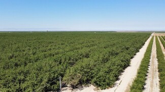 Kerman, CA Agricultural - 1 S Butte Ave