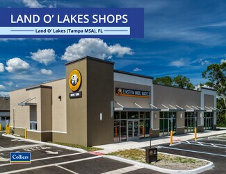 Land O' Lakes, FL undefined - 22427-22441 SR 54 Land O' Lakes, FL undefined - 22427-22441 SR 54