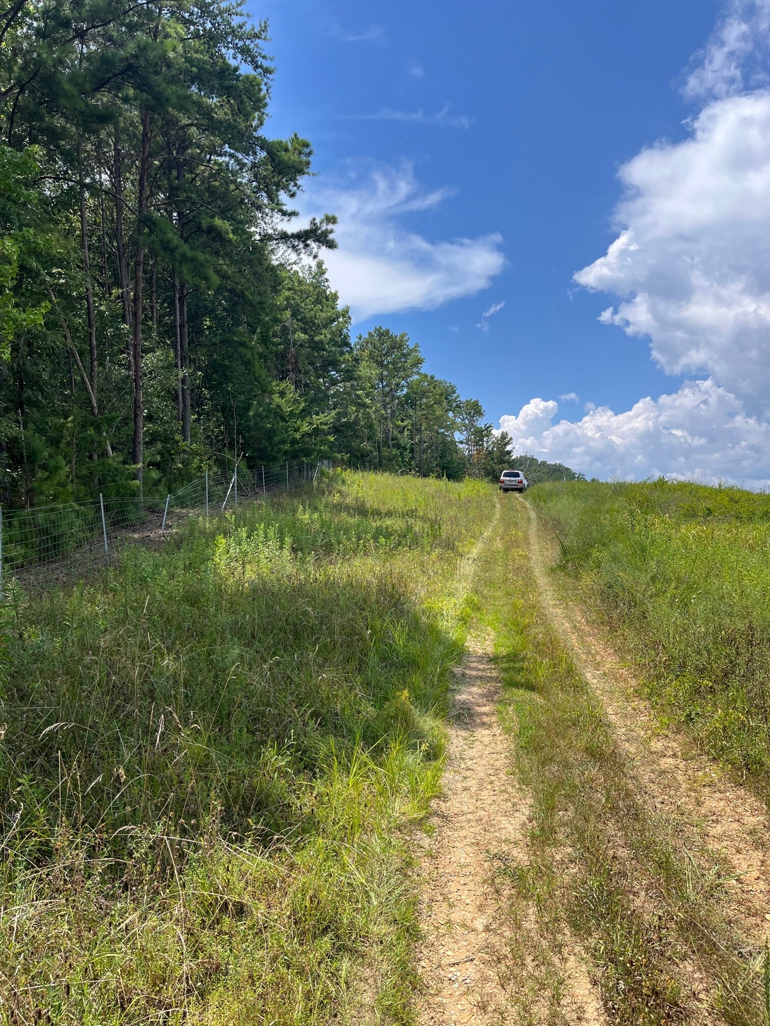 7989 AL-75, Pinson, AL for Sale