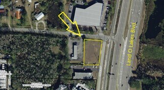 Lutz, FL Commercial - 2131 Brinson Rd