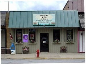 White Cloud, MI Storefront - 1099 Wilcox