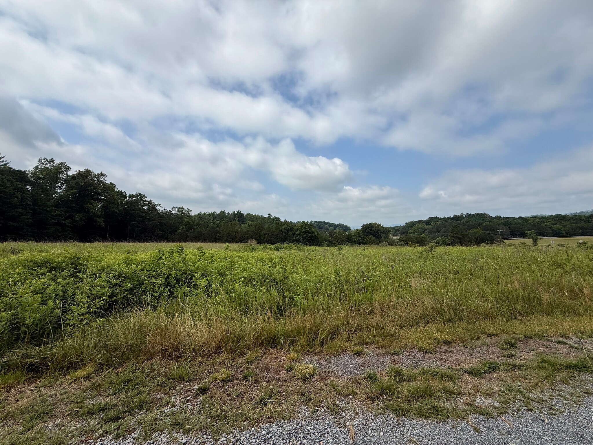 Timber Ridge, Fincastle, VA for Sale