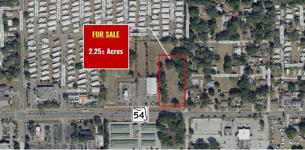 State Road 54 & Seaberg Rd, Zephyrhills, FL for Sale