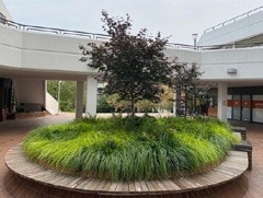 Vancouver, BC Office - 620-650 W 8th Ave