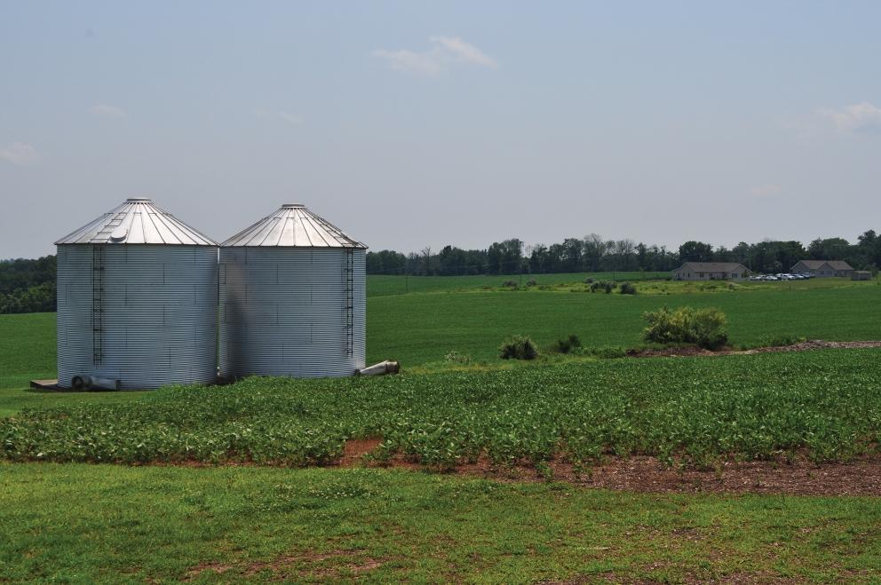 1663 Little York Mt Pleasant Rd Pittstown, NJ 08867 Land Property for