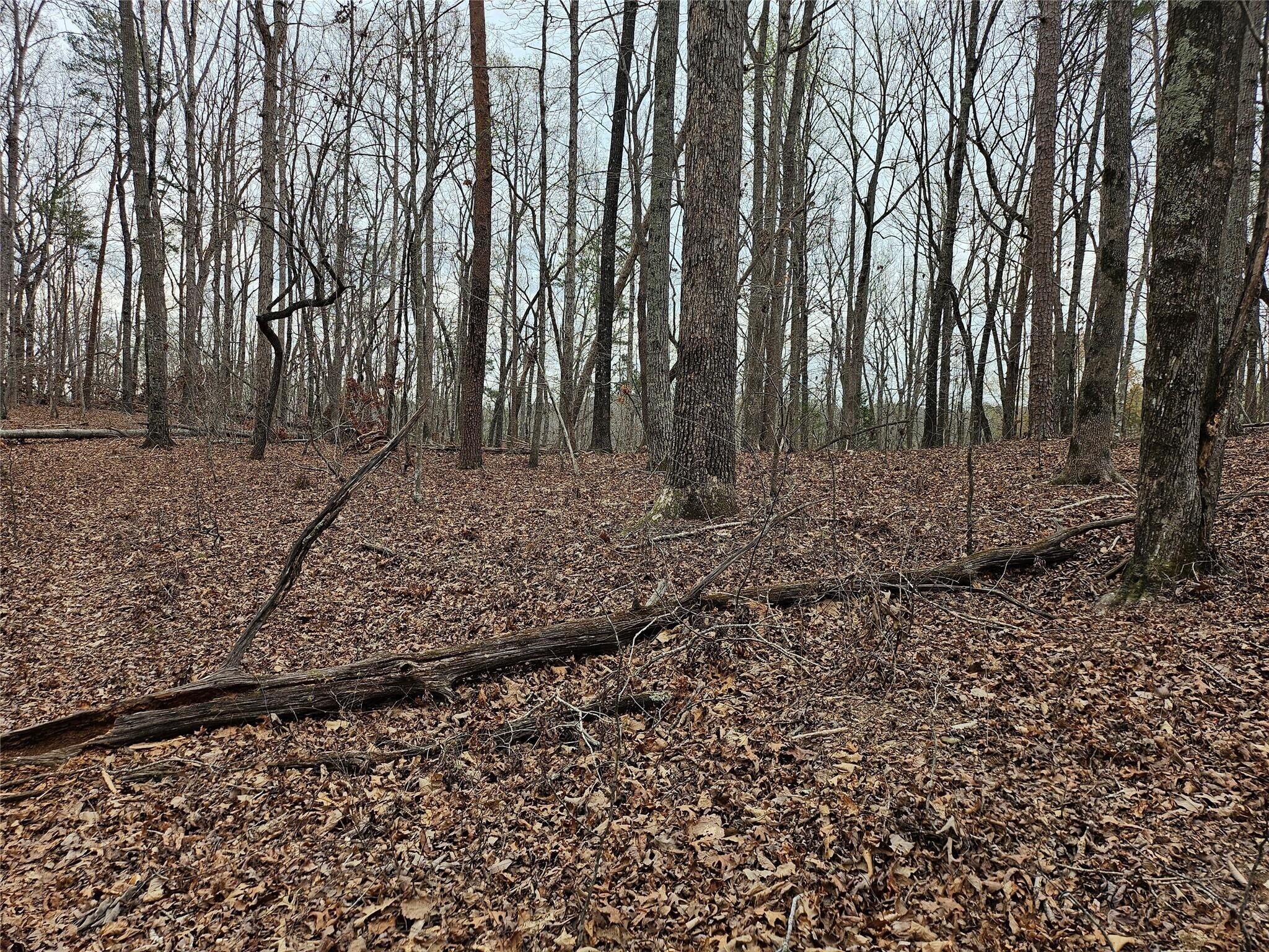 000 Weaver Mill Road, Columbus, NC for Sale