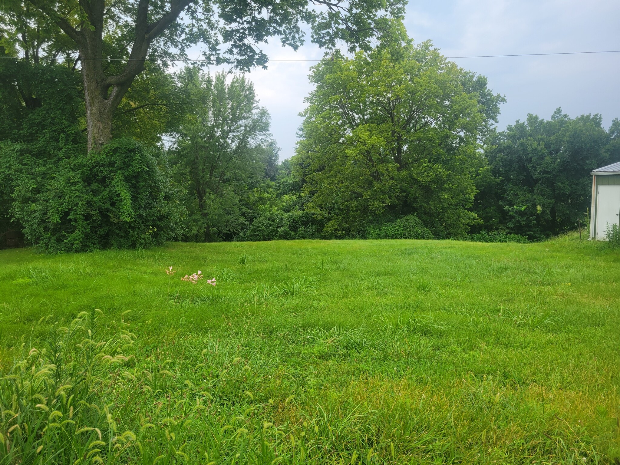 411 N 6th St, Elsberry, MO for Sale