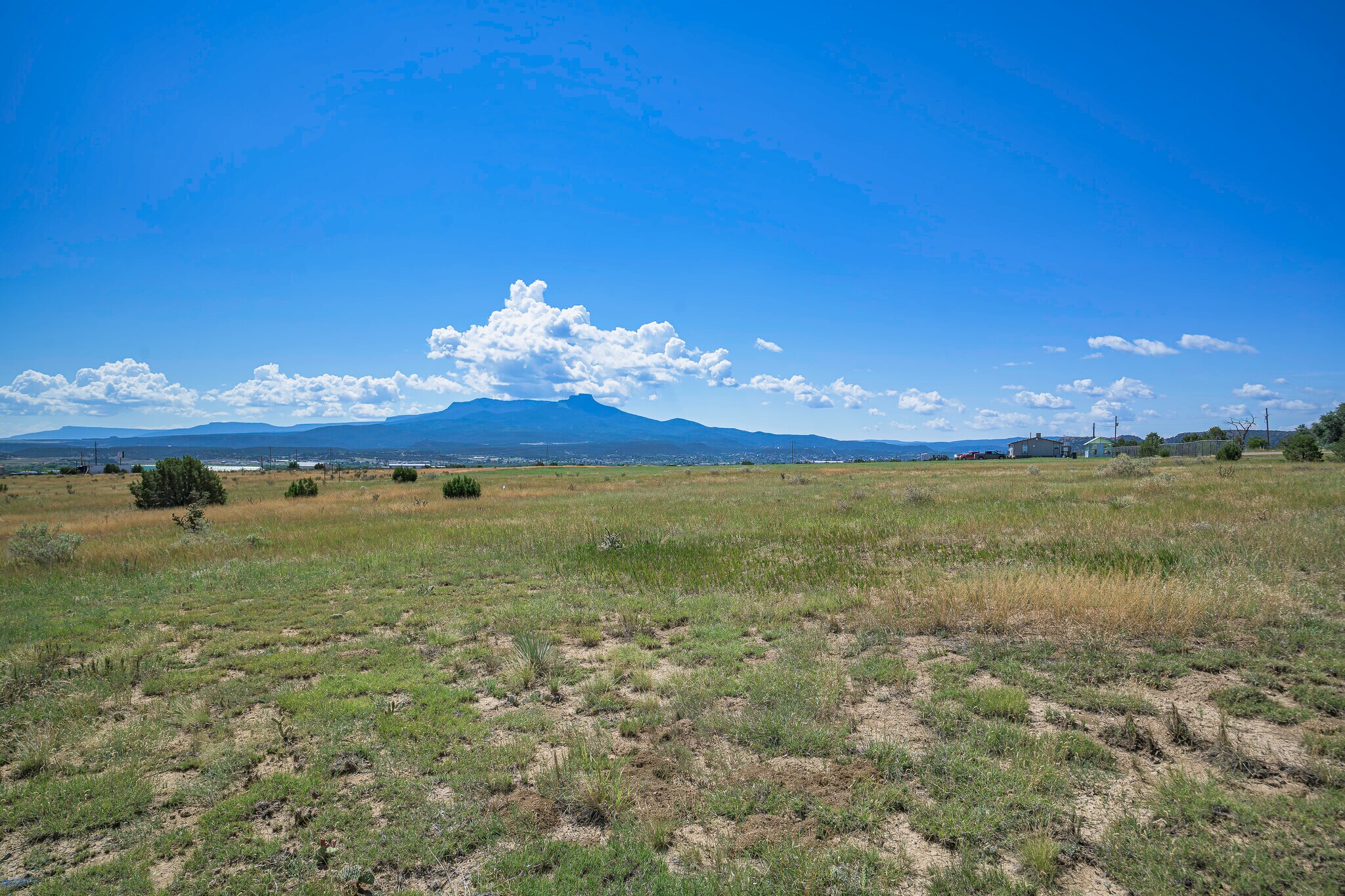 15308 County 71.1 rd, Trinidad, CO for Sale