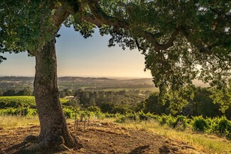 Plymouth, CA Agricultural - 18550 Silver Oak Ln