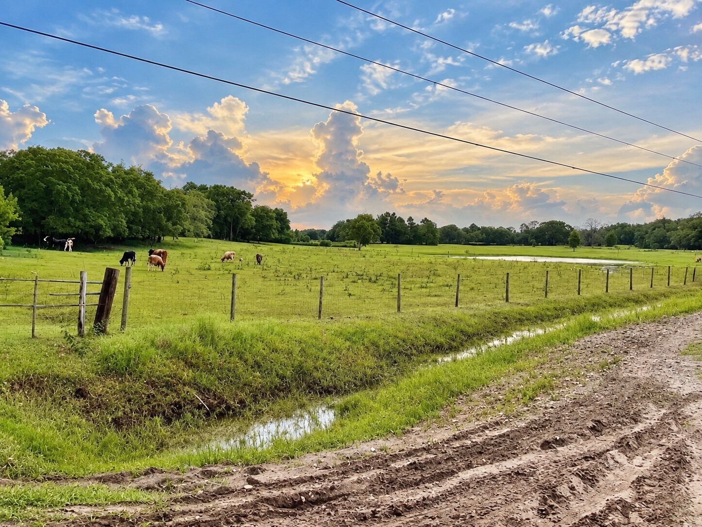5031 Lisk Ln, Lake Wales, FL for Sale