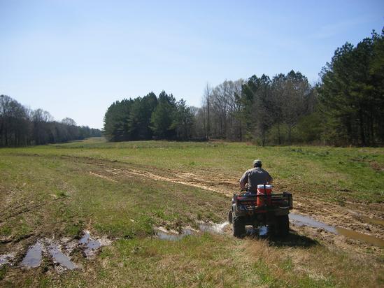 180 Acres In Winston County Ms, Noxapater, MS for Sale