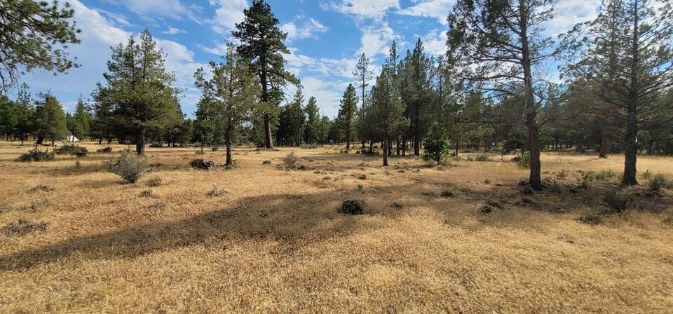Highway 299, Burney, CA for Sale