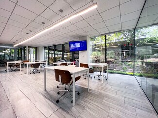 Houston, TX Office - 17 S Briar Hollow Ln