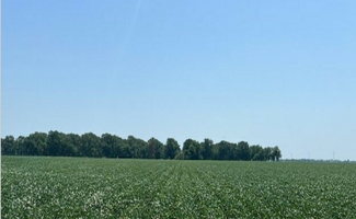 England, AR Agricultural - Pecan Ave