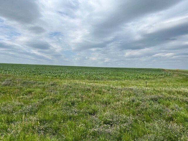 41st Street Southwest, Dickinson, ND for Sale