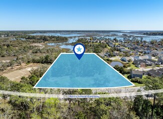 Beaufort, SC Commercial Land - 557 Parris Island Gtwy