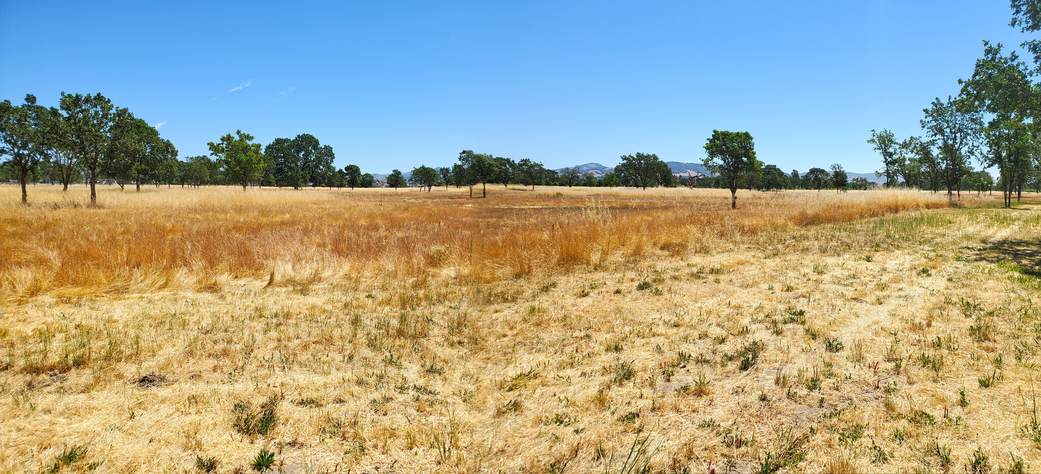 4001 Coral Sea Ave, Santa Rosa, CA for Sale