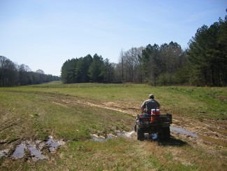 Noxapater, MS Residential - 180 Acres In Winston County Ms