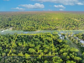 Homosassa, FL Residential Land - 9115 S Suncoast Blvd Homosassa, FL Residential Land - 9115 S Suncoast Blvd