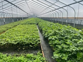 Bridgman, MI undefined - 9555 Gast Rd Bridgman, MI undefined - 9555 Gast Rd