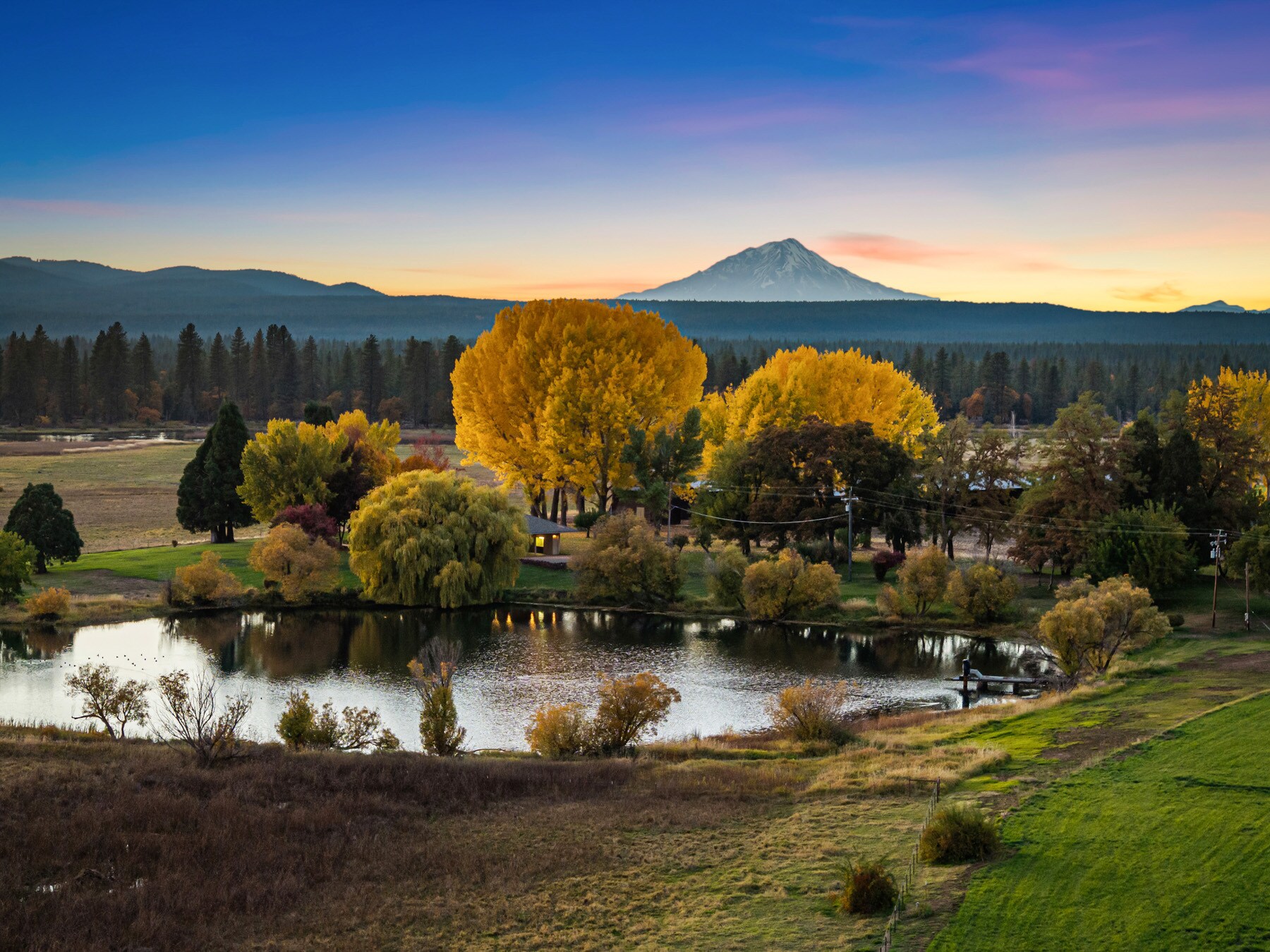 41579 Osprey Rd, Fall River Mills, CA for Sale