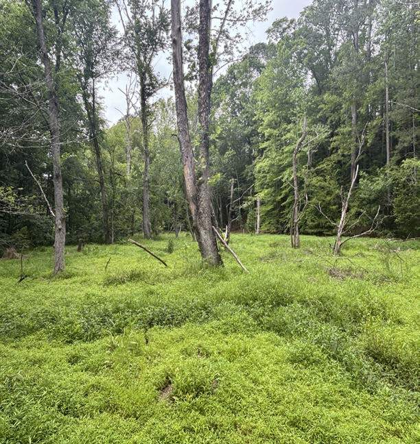 1087 Bobby Faucette Rd, Jonesville, SC for Sale