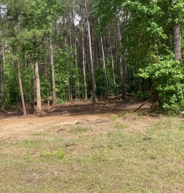 421 HWY & 210 Hwy, Currie, NC for Sale