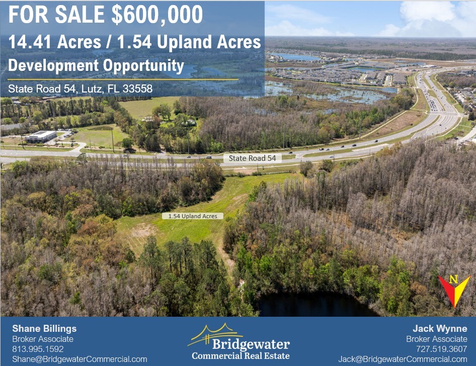 State Road 54, Land O Lakes, FL for Sale