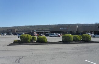 Dansville, NY Retail, Flex - 10-40 Village Plz