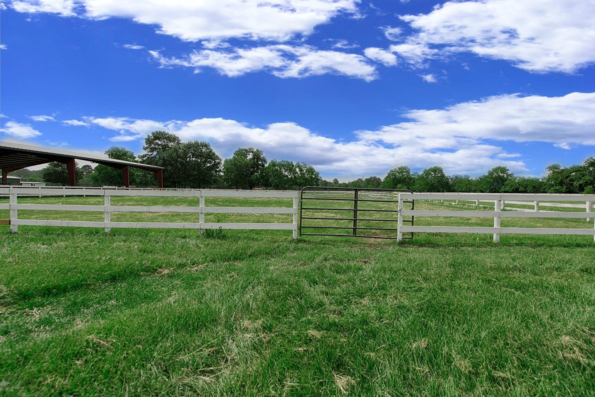 22815 Lain Rd, Spring, TX for Sale
