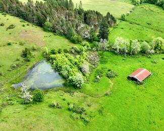 Roseburg, OR Agricultural Land - 5961 Lookingglass Rd