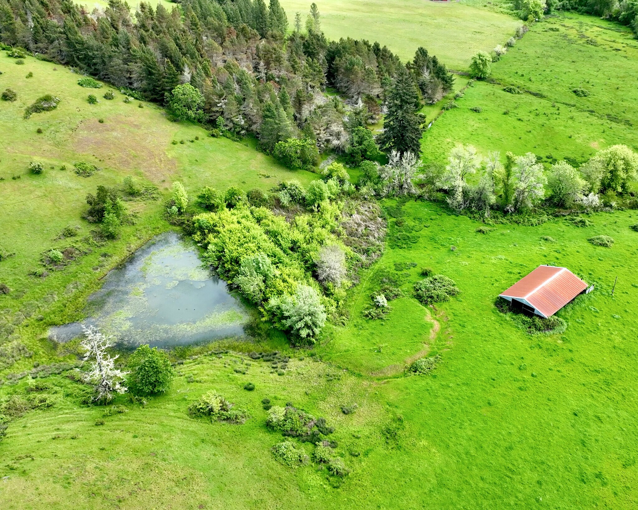 5961 Lookingglass Rd, Roseburg, OR for Sale