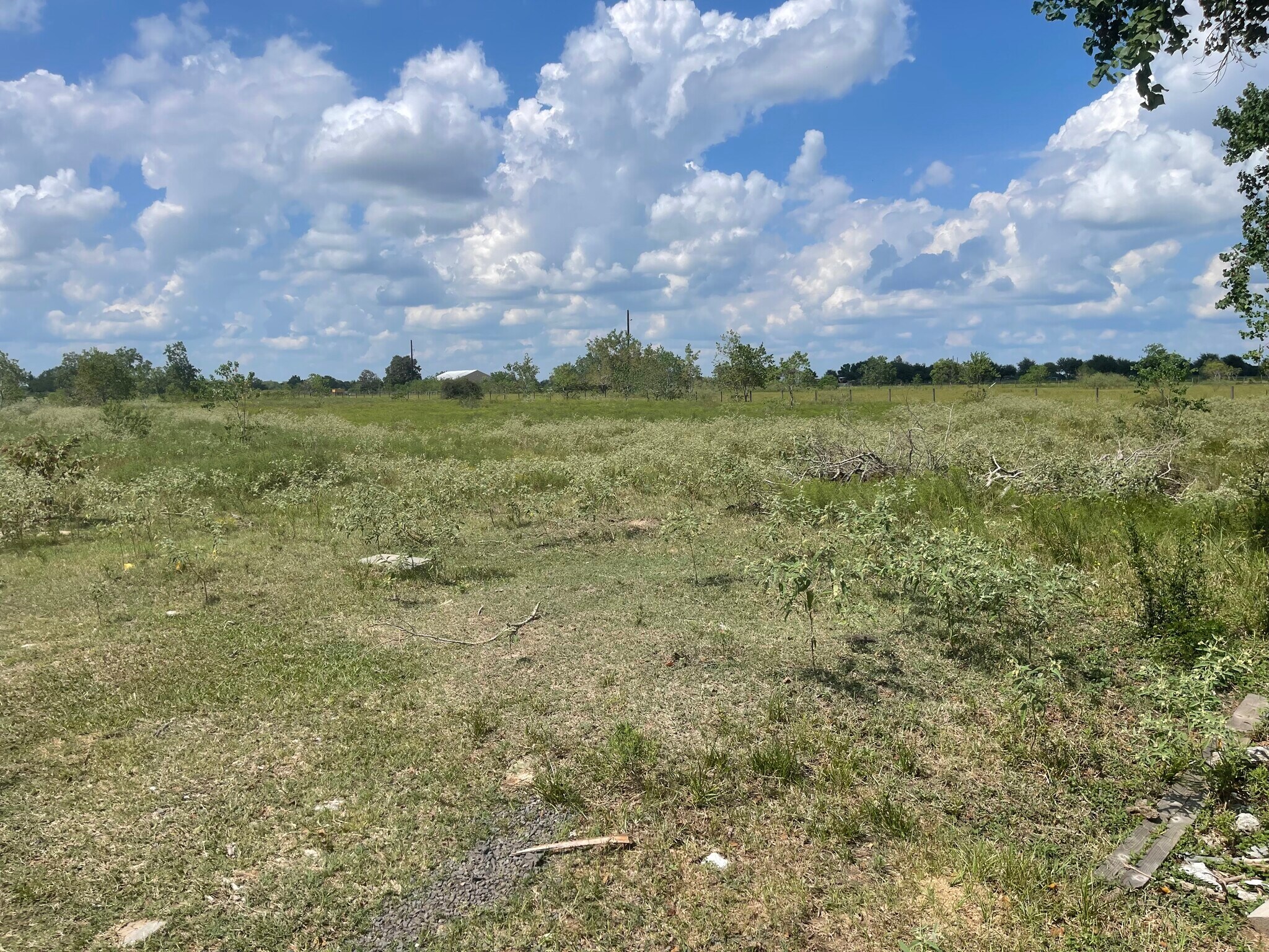 5328 FM 3013 Rd, Sealy, TX for Sale