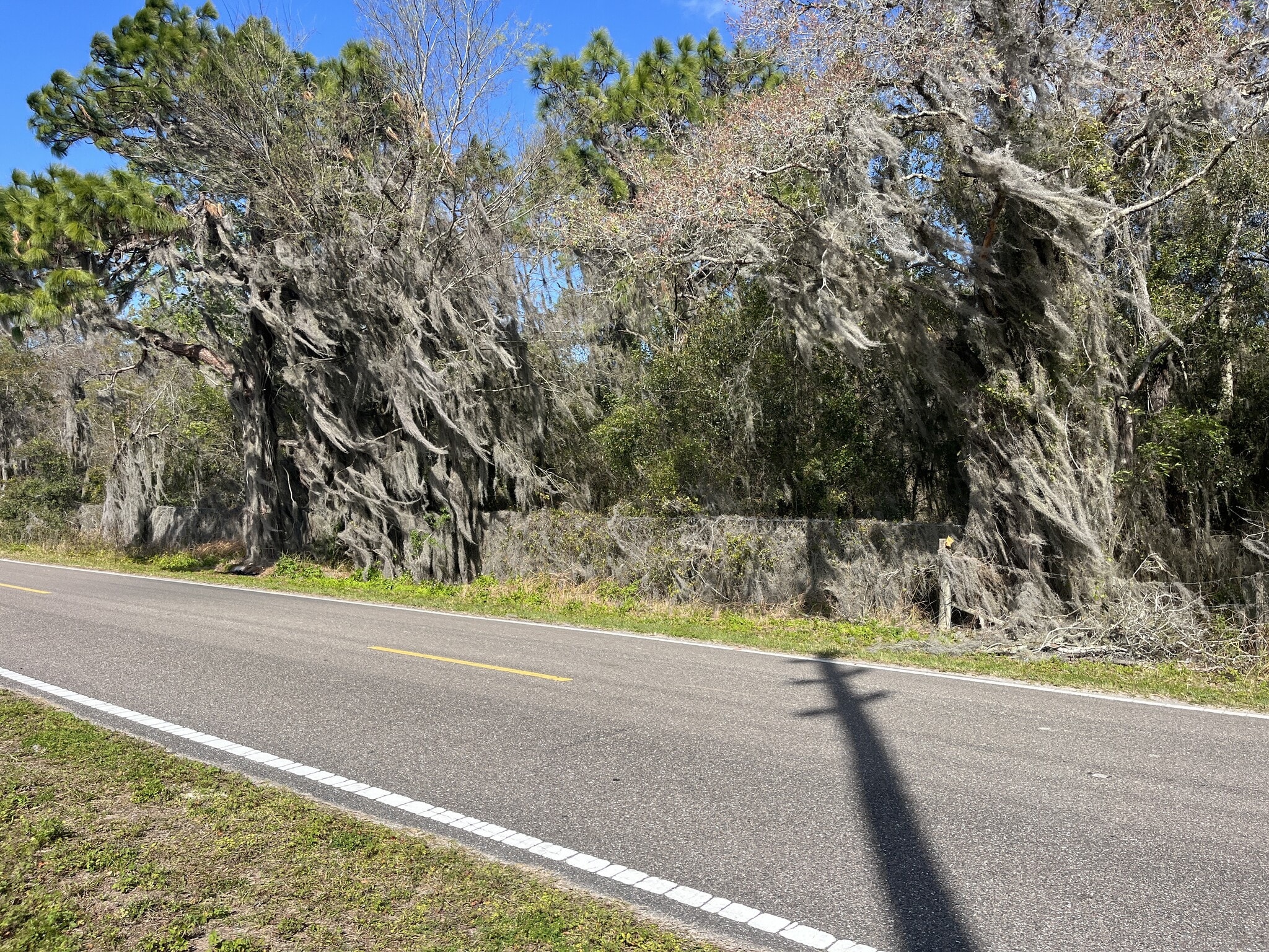 30651 Elam Rd, Wesley Chapel, FL for Sale