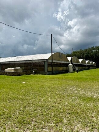 Sorrento, FL undefined - 33322 County Road 437 Sorrento, FL undefined - 33322 County Road 437