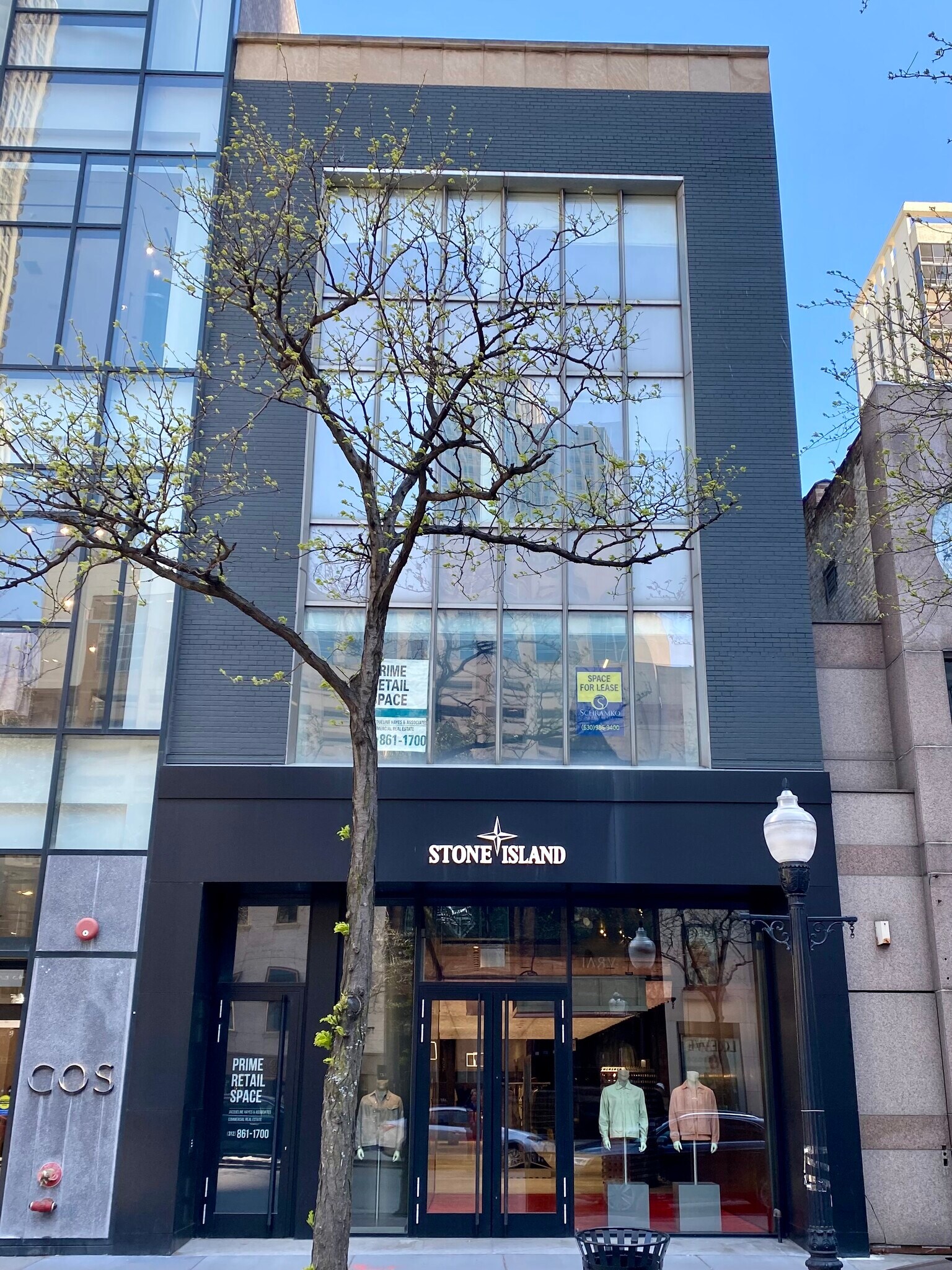48 E Oak St, Chicago, IL for Rent