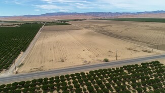 Coalinga, CA Agricultural - Jayne @ Quail Ave.