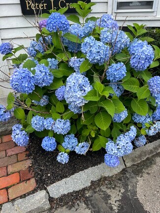 Sudbury, MA Office - 345 Boston Post Rd