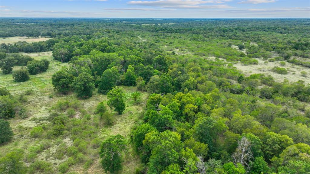 689 Chamberlin Rd, Dale, TX for Sale