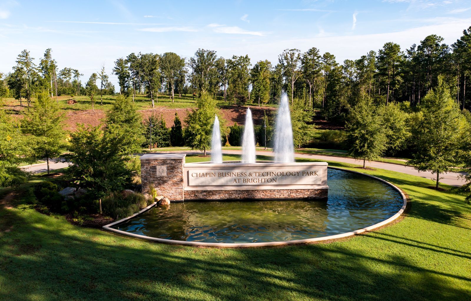 301 Brighton Blvd, Chapin, SC for Sale