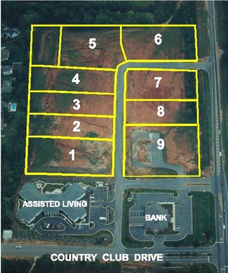 Stockbridge, GA Commercial Land - Eagles Landing Pky