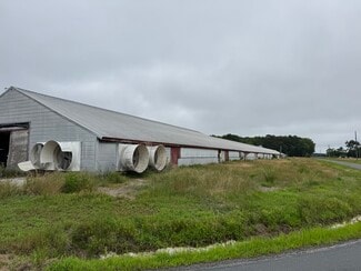 Withams, VA Commercial - 7193 Bullbegger Rd
