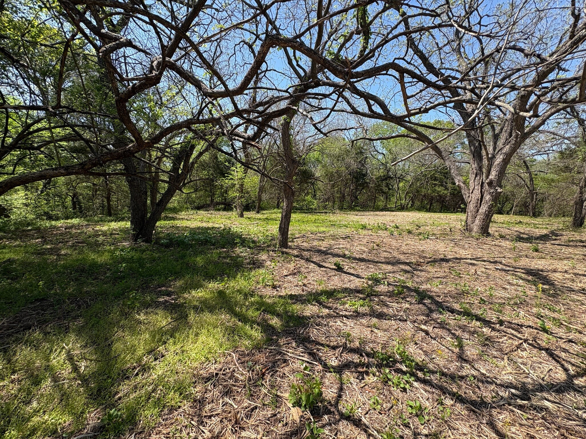 1021 Rockport rd, Sherman, TX for Sale
