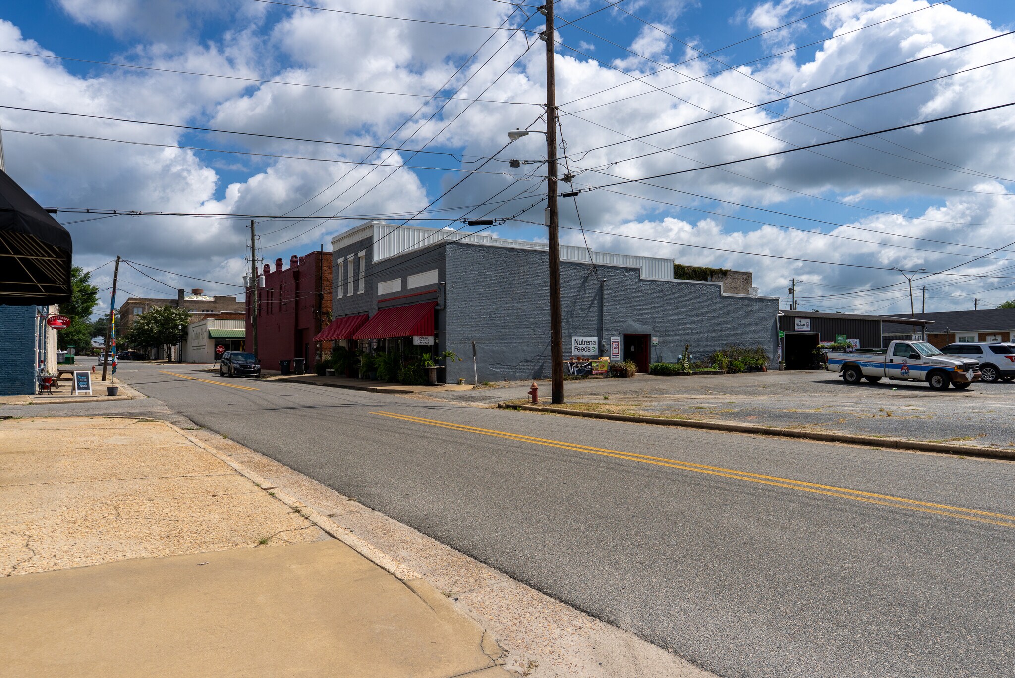 186 McLaughlin St SW, Pelham, GA for Sale