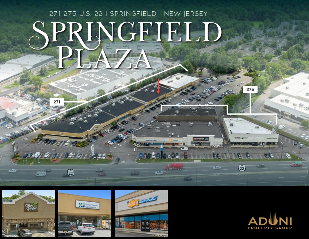 271 US Highway 22, Springfield, NJ for Rent